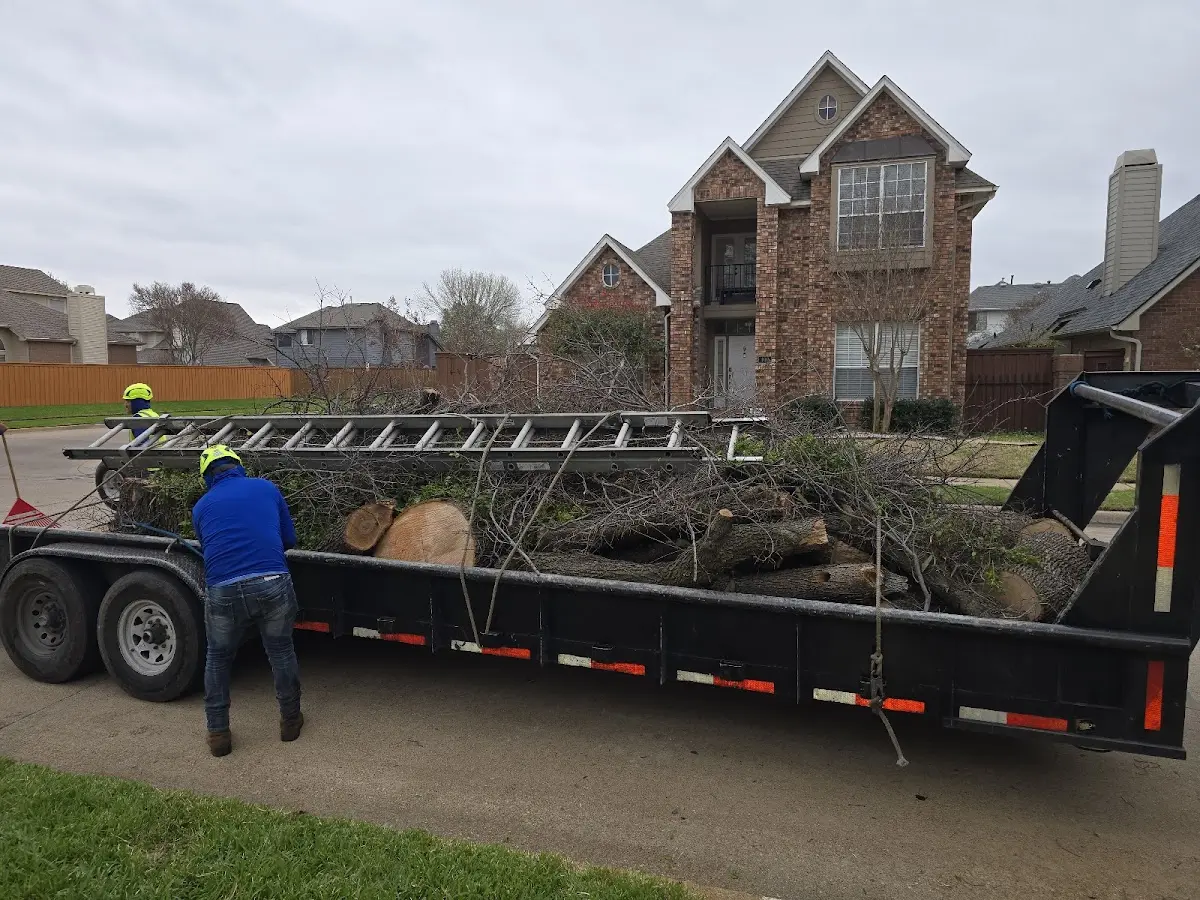 Expert Lot Clearing with proper safety equipment in Mauk